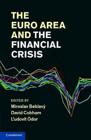 The Euro area and the financial crisis