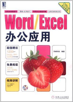 Word/Excel办公应用
