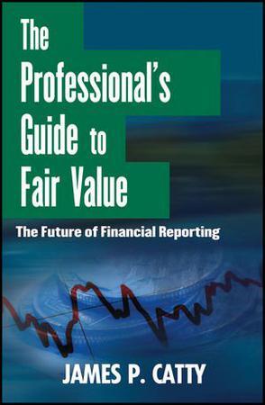 The professional's guide to fair value the future of financial reporting