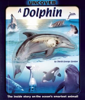 Uncover a dolphin the inside story on the ocean's smartest animal!