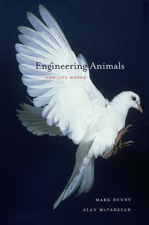 Engineering animals how life works