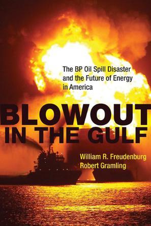 Blowout in the Gulf the BP oil spill disaster and the future of energy in America