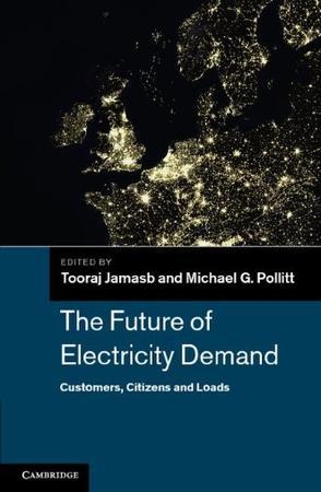 The future of electricity demand customers, citizens, and loads