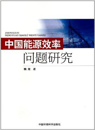 中国能源效率问题研究