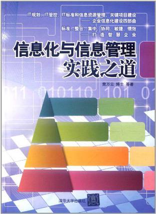 信息化与信息管理实践之道