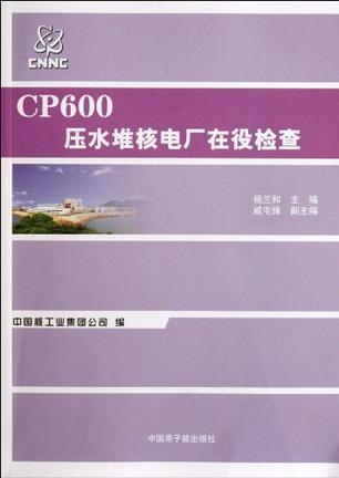 CP600压水堆核电厂在役检查