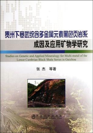贵州下寒武统含多金属元素黑色页岩系成因及应用矿物学研究