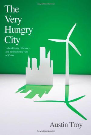 The very hungry city urban energy efficiency and the economic fate of cities