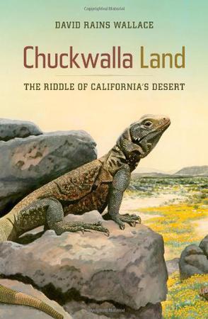 Chuckwalla land the riddle of California's desert