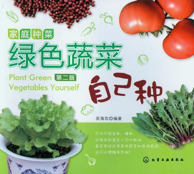 家庭种菜 绿色蔬菜自己种