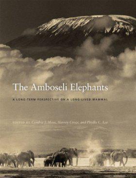 The Amboseli elephants a long-term perspective on a long-lived mammal
