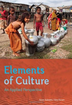 Elements of culture an applied perspective