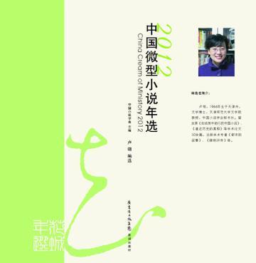 2012中国微型小说年选