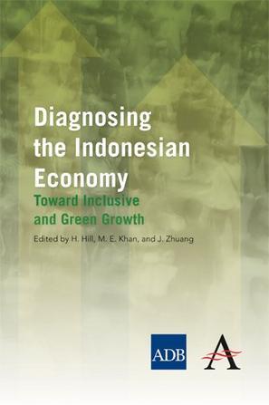 Diagnosing the Indonesian economy toward inclusive and green growth