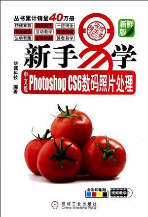 中文版Photoshop CS6数码照片处理