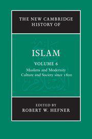 The new Cambridge history of Islam. Vol. 6, Muslims and modernity, culture and society since 1800