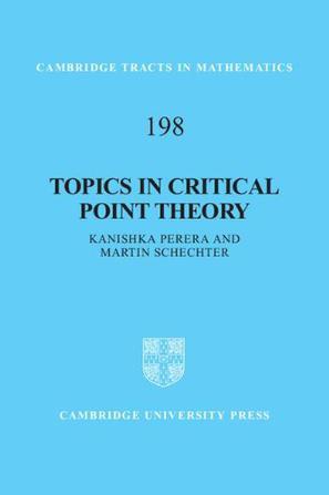 Topics in critical point theory