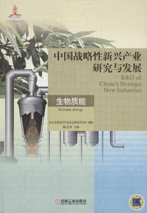 中国战略性新兴产业研究与发展 生物质能 Biomass energy