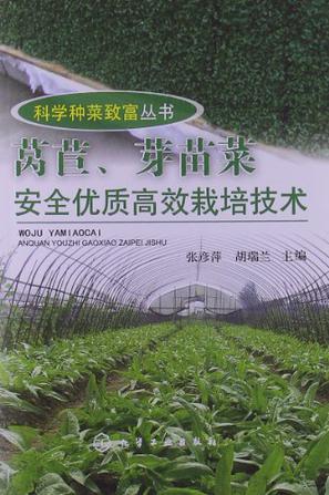 莴苣、芽苗菜安全优质高效栽培技术