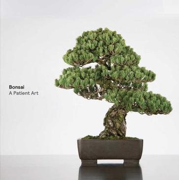 Bonsai a patient art : the Bonsai Collection of the Chicago Botanic Garden
