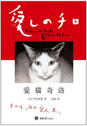 爱猫奇洛