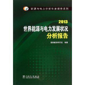 世界能源与电力发展状况分析报告 2013