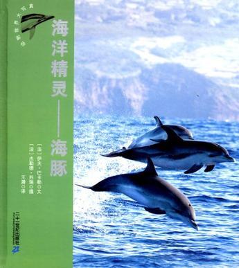 海洋精灵——海豚