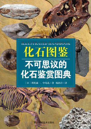 化石图鉴 不可思议的化石鉴赏图典