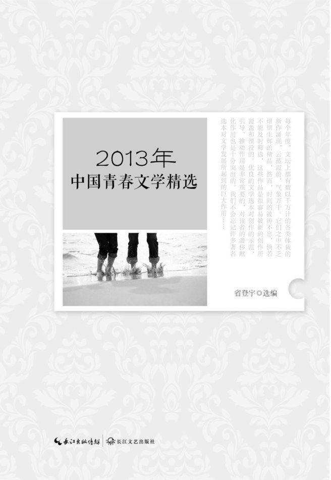 2013年中国青春文学精选