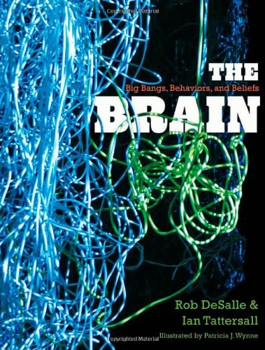 The brain : big bangs, behaviors, and beliefs /