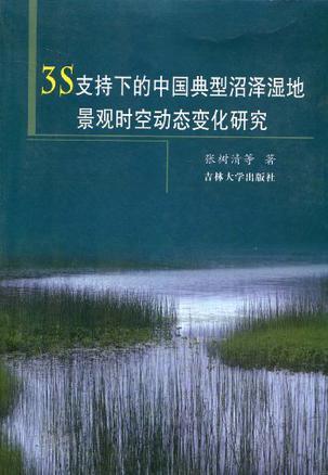 3S支持下的中国典型沼泽湿地景观时空动态变化研究