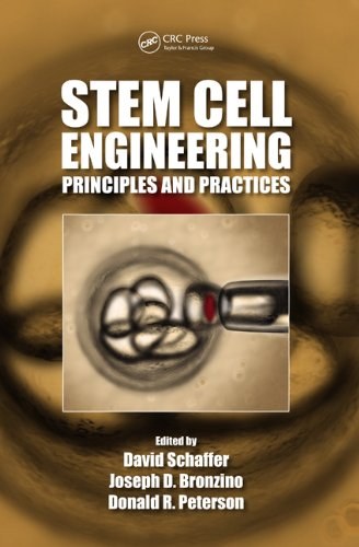 Stem cell engineering : principles and practices /