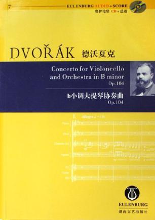 b小调大提琴协奏曲 Op.104 Op.104