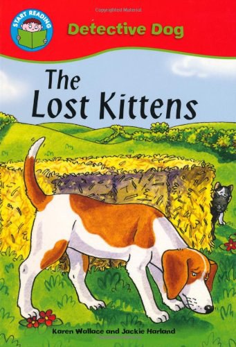 The lost kittens /