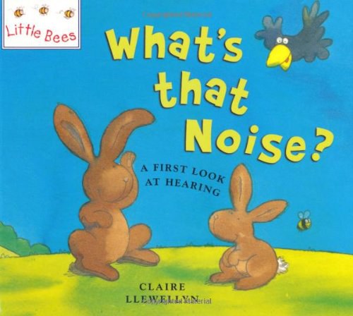 What's that noise? : a first look at sound and hearing /
