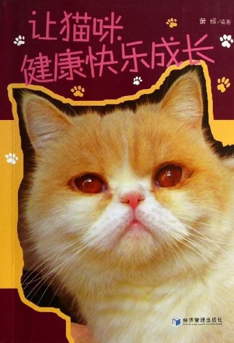 让猫咪健康快乐成长