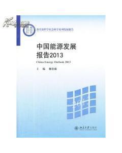 中国能源发展报告 2013 2013