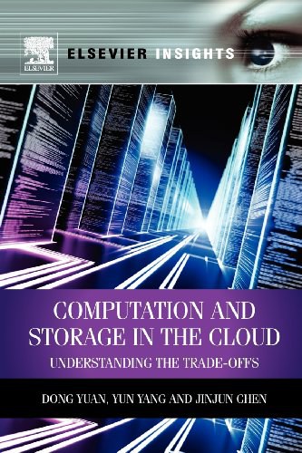 Computation and storage in the cloud : understanding the trade-offs /