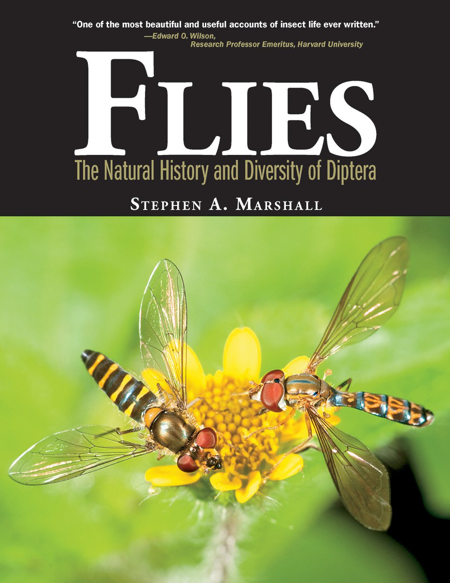 Flies : the natural history and diversity of diptera /