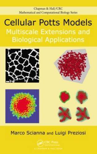 Cellular potts models : multiscale extensions and biological applications /