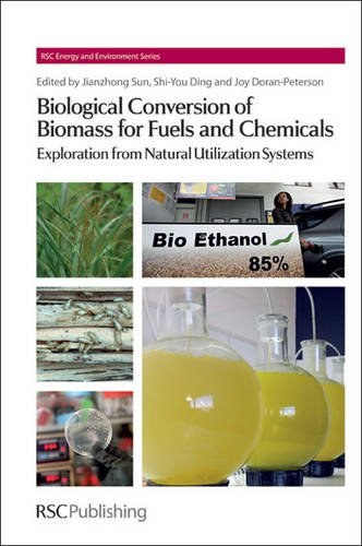 Biological conversion of biomass for fuels and chemicals : explorations from natural utilization systems /