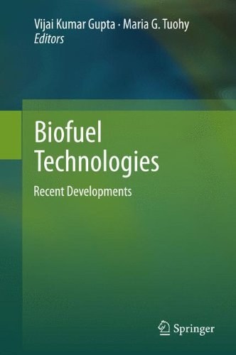 Biofuel technologies : recent developments /