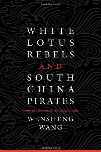 White Lotus rebels and south China pirates : crisis and reform in the Qing empire /