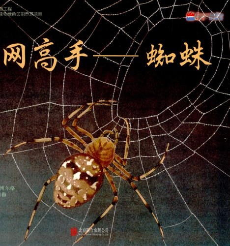 织网高手——蜘蛛