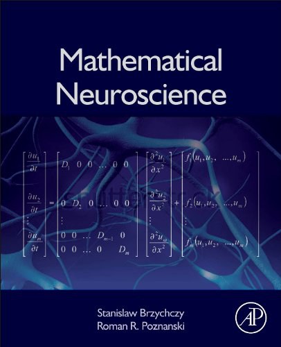Mathematical neuroscience /