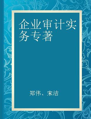 企业审计实务