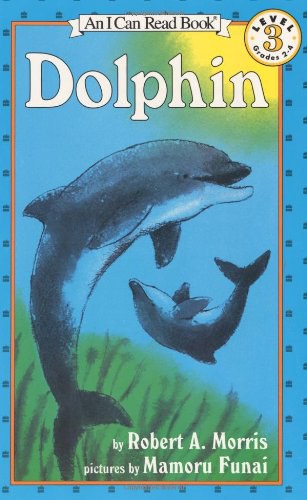 Dolphin /