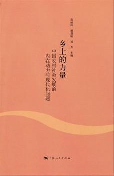 乡土的力量 中国农村社会发展的内在动力与现代化问题