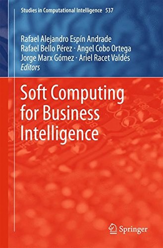 Soft computing for business intelligence /
