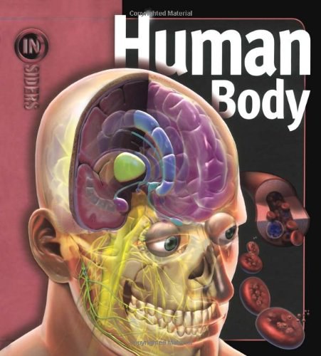 Human body /
